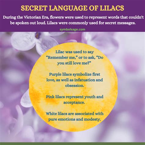 The Enchanting Aesthetics of Aidas Magic Lilac in Home Decor